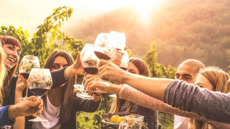 Várias pessoas fazem um brinde com vinho tinto em uma Bodega durante uma degustação de vinhos.